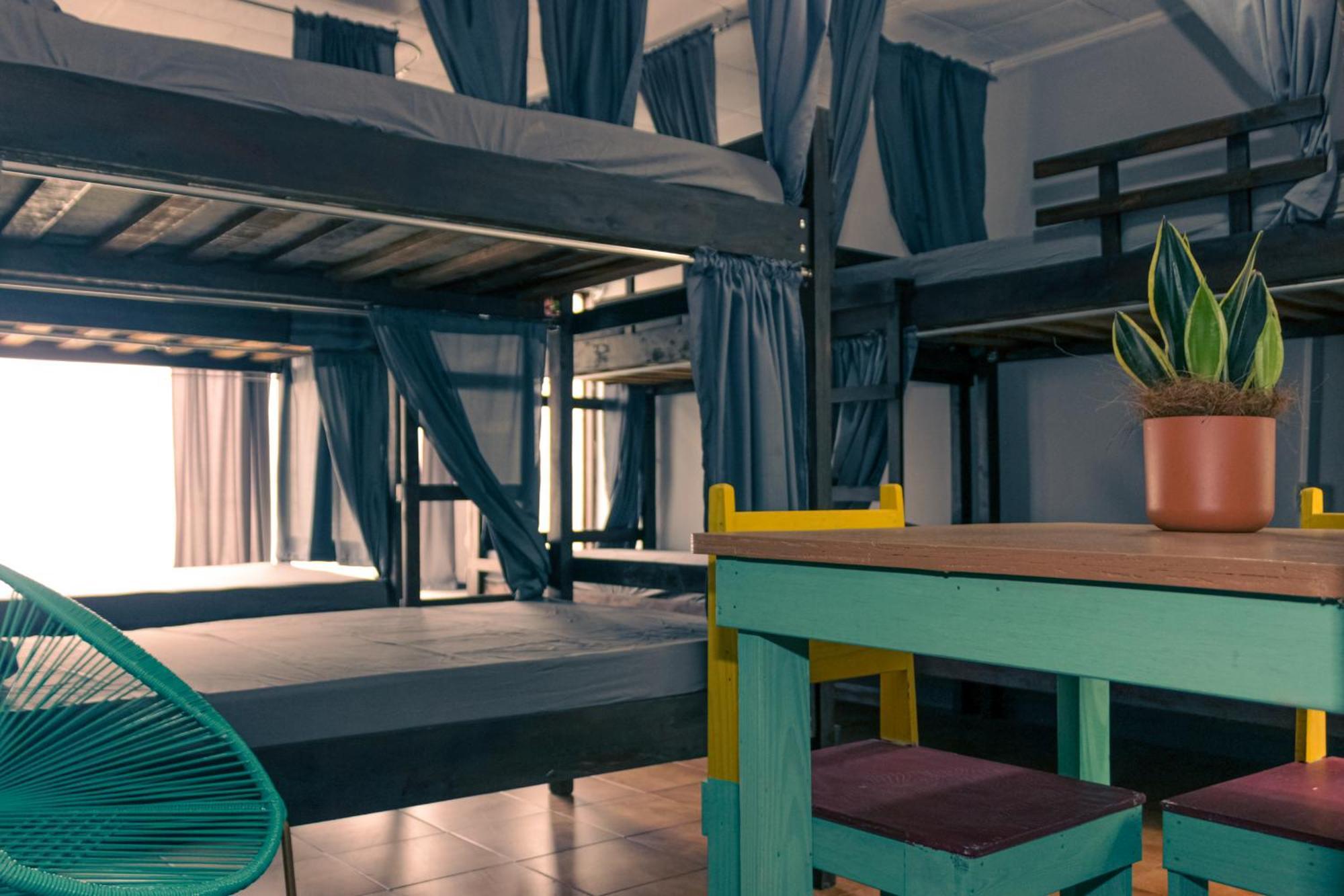 Chillout Hostel Barrio Escalante San José Pokój zdjęcie