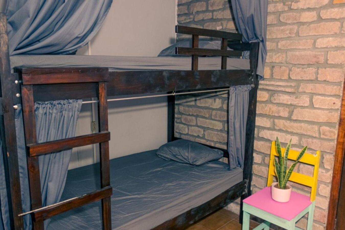 Chillout Hostel Barrio Escalante San José Zewnętrze zdjęcie
